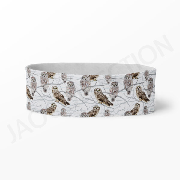 Bandeau technique/thermique JOLIES CHOUETTES